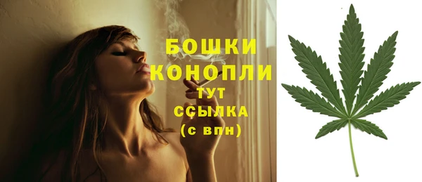 MESCALINE Вяземский